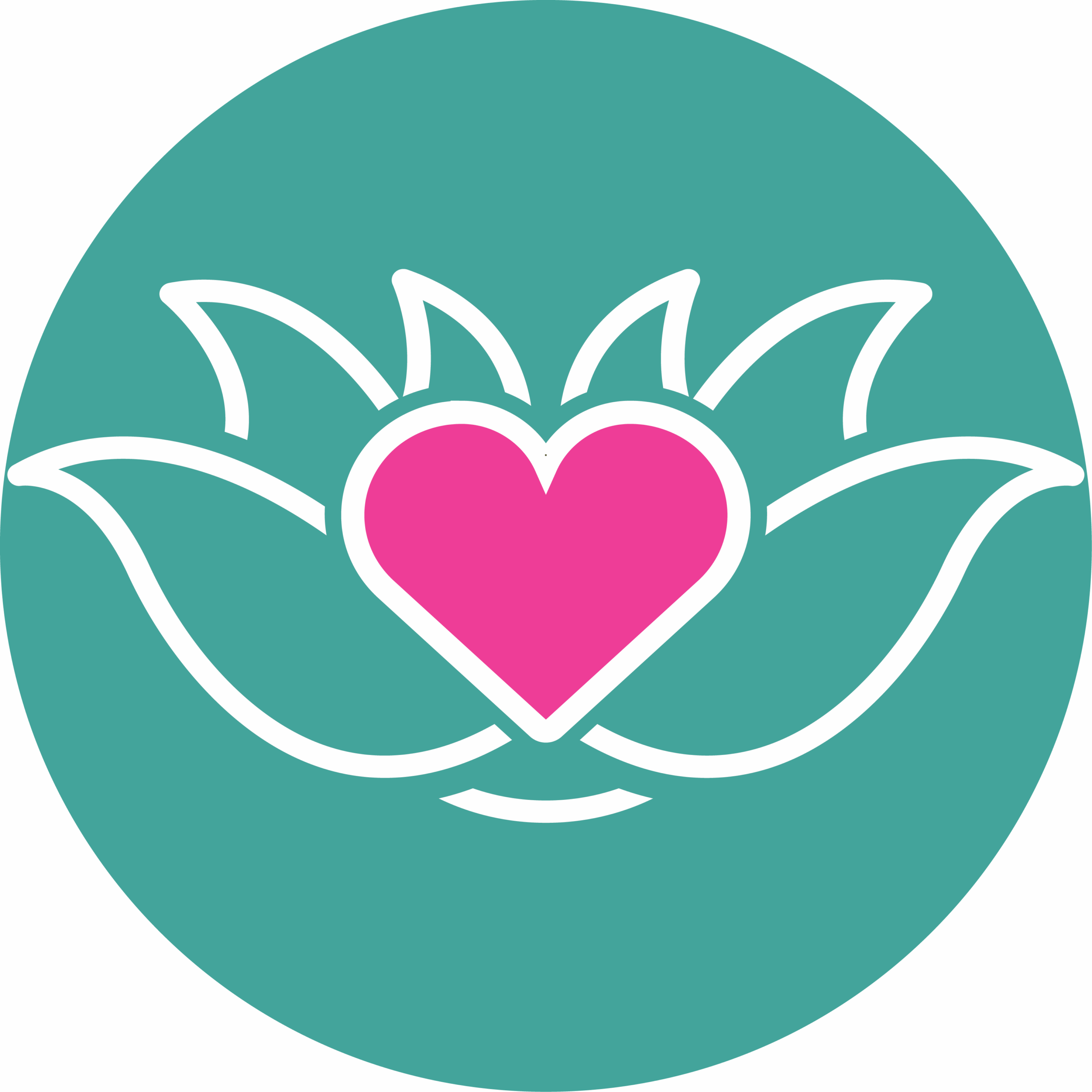 Living a High Vibe Life